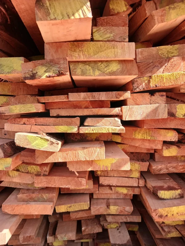 Cypress Plain Timber- Ring 2